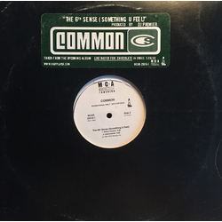 Common The 6th Sense (Something U Feel) Vinyl 12" USED