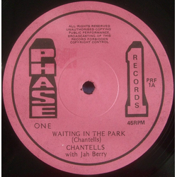 The Chantells Waiting In The Park / Desperate Times Vinyl 12" USED
