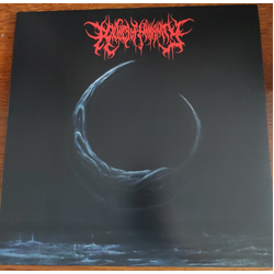 Relics Of Humanity Absolute Dismal Domain Vinyl LP USED