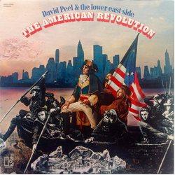 David Peel & The Lower East Side The American Revolution Vinyl LP USED