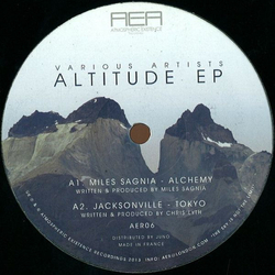 Various Altitude EP Vinyl 12" USED