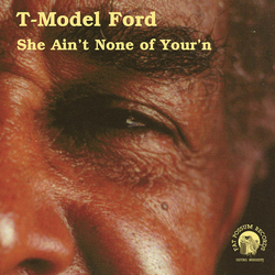 T-Model Ford She Ain't None Of Your'n Vinyl LP USED