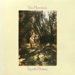 Van Morrison Tupelo Honey Vinyl LP USED