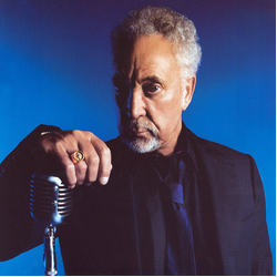 Tom Jones Evil Vinyl 7" USED