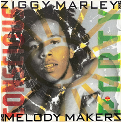 Ziggy Marley And The Melody Makers Conscious Party Vinyl LP USED