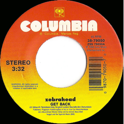 Zebrahead Get Back Vinyl 7" USED