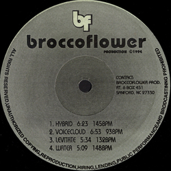 Broccoflower Hybrid Vinyl 12" USED
