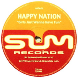 Happy Nation Girls Just Wanna Have Fun Vinyl 12" USED