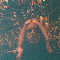 Turnover (3) Peripheral Vision Vinyl LP USED