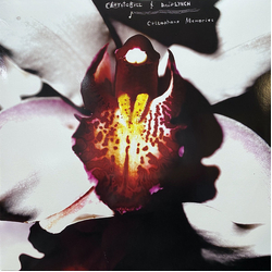 Chrysta Bell / David Lynch Cellophane Memories Vinyl LP USED