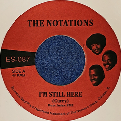 The Notations I'm Still Here / What More Can I Say Vinyl 7" USED