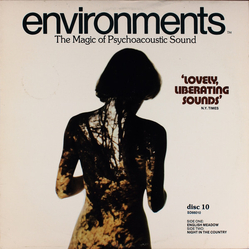 No Artist Environments (The Magic of Psychoacoustic Sound - Disc 10) Vinyl LP USED