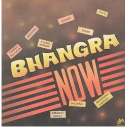 Various Bhangra Now Vinyl LP USED