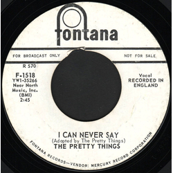 The Pretty Things I Can Never Say / Cry To Me Vinyl 7" USED