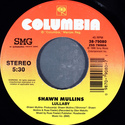 Shawn Mullins Lullaby Vinyl 7" USED