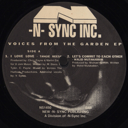 Various Voices From The Garden EP Vinyl 12" USED