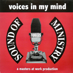 Voices Voices In My Mind Vinyl 12" USED