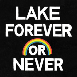 Lake (4) Forever Or Never Multi Vinyl LP/CD USED
