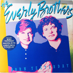 Everly Brothers Born Yesterday Vinyl LP USED