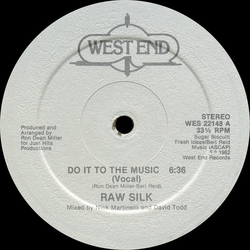 Raw Silk Do It To The Music Vinyl 12" USED