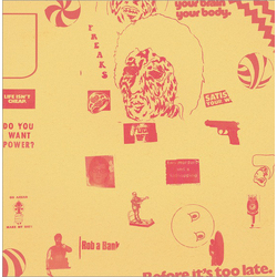 Thee Oh Sees / Total Control (13) Thee Oh Sees / Total Control Vinyl 12" USED