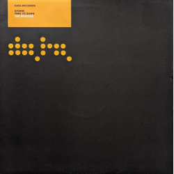 Storm Time To Burn (The Remixes) Vinyl 12" USED