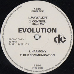 Evolution Jaywalkin' Vinyl 12" USED