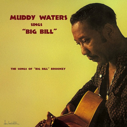 Muddy Waters Muddy Waters Sings "Big Bill" Vinyl LP USED