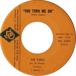 The Turks (6) You Turn Me On / Generation Gap Vinyl 7" USED