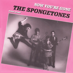 The Spongetones Now You're Gone / Torn Apart Vinyl 7" USED