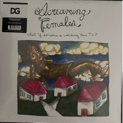 Screaming Females What If Someone Is Watching Their T.V.? Vinyl LP USED