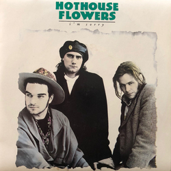 Hothouse Flowers I'm Sorry Vinyl 7" USED