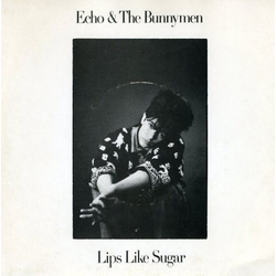 Echo & The Bunnymen Lips Like Sugar Vinyl 7" USED