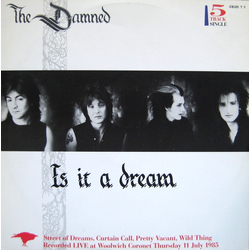 The Damned Is It A Dream Vinyl 12" USED