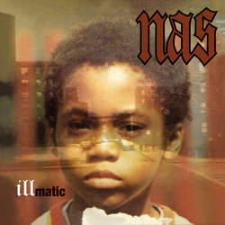 Nas Illmatic Vinyl LP USED
