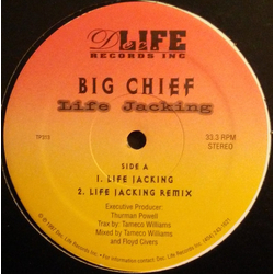 Big Chief (21) Life Jacking Vinyl 12" USED