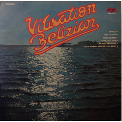Vibration Belizian Vibration Belizian Vinyl LP USED