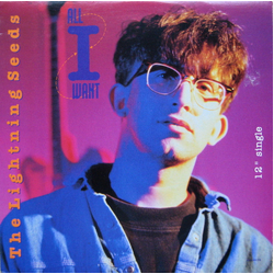 Lightning Seeds All I Want Vinyl 12" USED