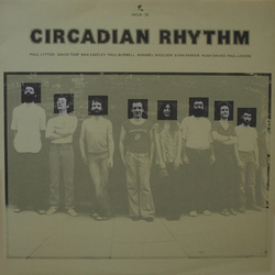 Paul Lytton / David Toop / Max Eastley / Paul Burwell / Annabel Nicolson / Evan Parker / Hugh Davies / Paul Lovens Circadian Rhythm Vinyl LP USED