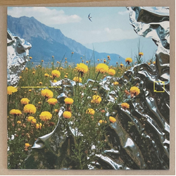 Nick Kramer / Magnus Bang Olsen Pastoral Blend Vinyl LP USED