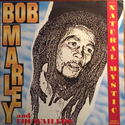 Bob Marley & The Wailers Natural Mystic Vinyl 12" USED