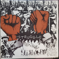 Bunny Wailer Struggle Vinyl LP USED