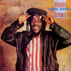 Dennis Brown Slow Down Vinyl LP USED