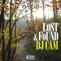 DJ Cam Lost & Found Vinyl LP USED