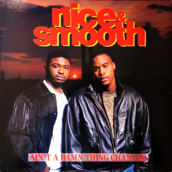 Nice & Smooth Ain't A Damn Thing Changed Vinyl LP USED