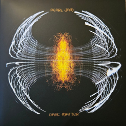 Pearl Jam Dark Matter Vinyl LP USED