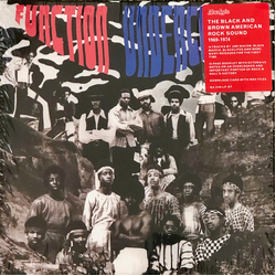 Various Function Underground: The Black And Brown American Rock Sound 1969-1974 Vinyl LP USED