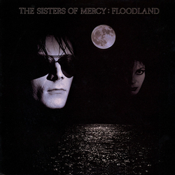 The Sisters Of Mercy Floodland Vinyl LP USED