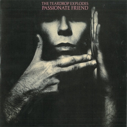 The Teardrop Explodes Passionate Friend Vinyl 12" USED