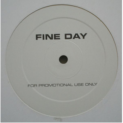 Mat Silver Unique / Fine Day Vinyl 12" USED